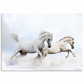 Постер «Белые лошади» #1