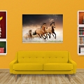 Постер «Лошади» #2