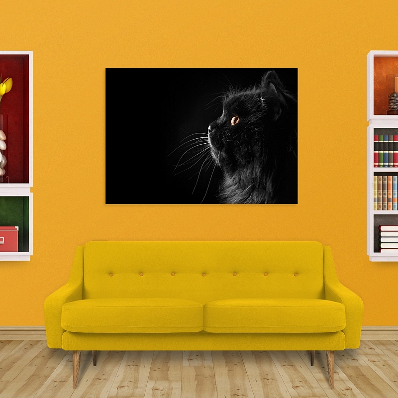 Постер «Черная кошка» #2