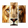 Модульная картина Lion #2 Модульная картина Lion #2