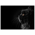 Постер Черная кошечка (большой) #1 Постер Черная кошечка (большой) #1
