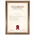 Сертификат обычного задрота #2