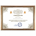Сертификат поработителя мира #1