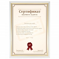 Сертификат обычного задрота #3