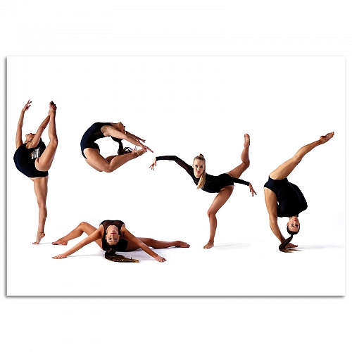 Постер Leotard Style (большой)