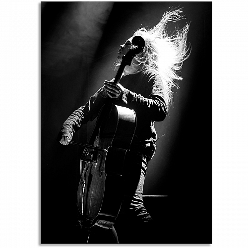 Постер Apocalyptica - Eicca Toppinen