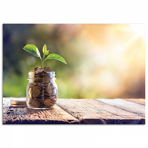 Постер «Денежное процветание»