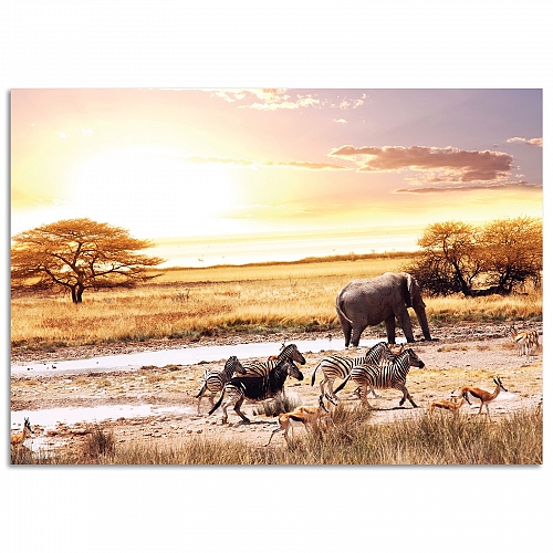 Постер Пейзаж в африке (большой)