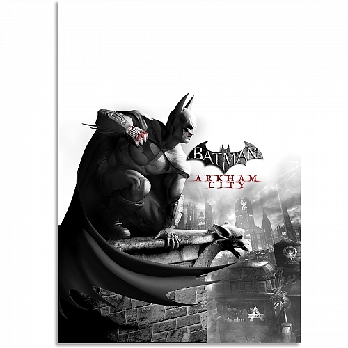 Постер Batman Arkham City (большой)