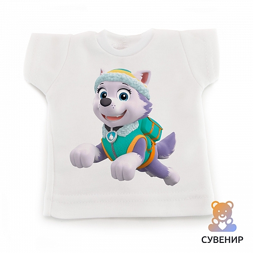 Сувенирная футболка Эверест