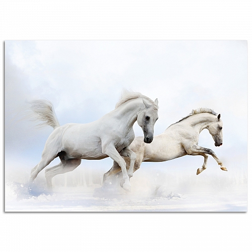 Постер Белые лошади (большой)