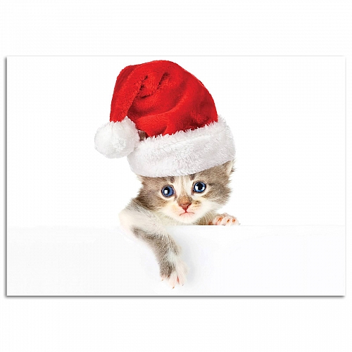 Постер «Новогодняя кошка»