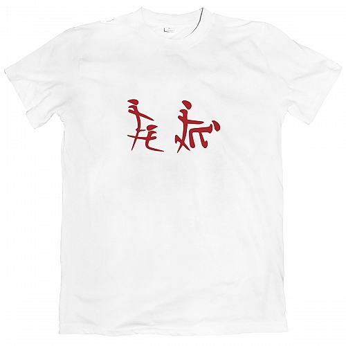 Футболка Иэроглифы, но это не точно