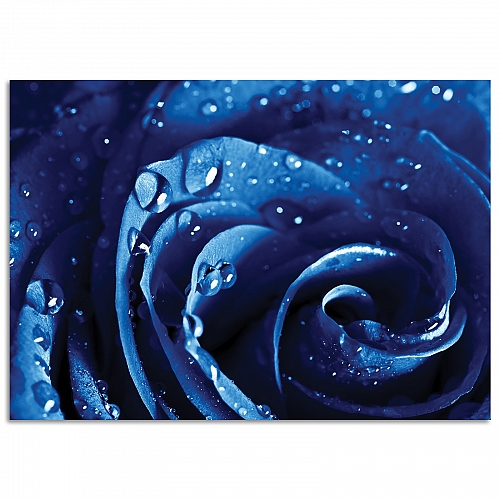 Постер «Синяя роза»