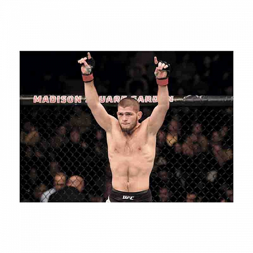 Постер Хабиб