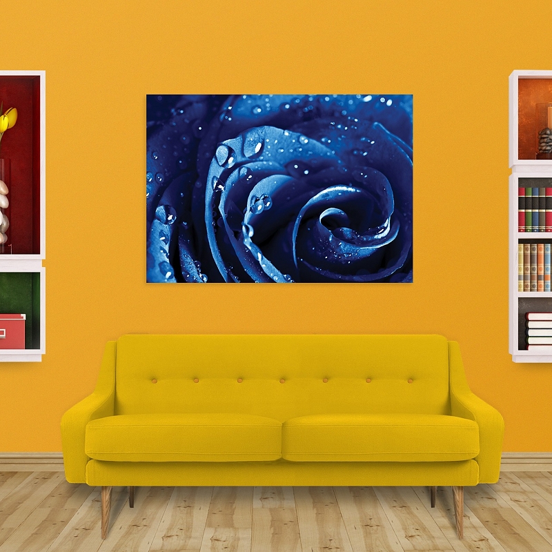 Постер «Синяя роза» - # 2 Постер «Синяя роза» #2