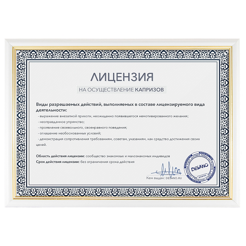 Лицензия на осуществление капризов - # 2 Лицензия на осуществление капризов #2