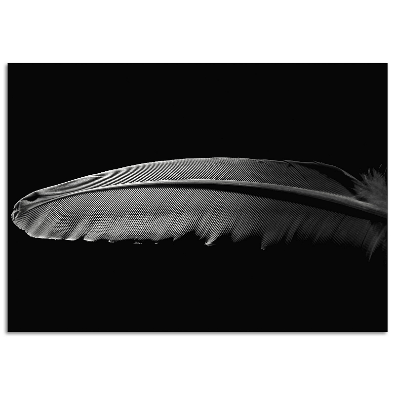 Постер Перо (большой) - # 1 Постер Перо (большой) #1