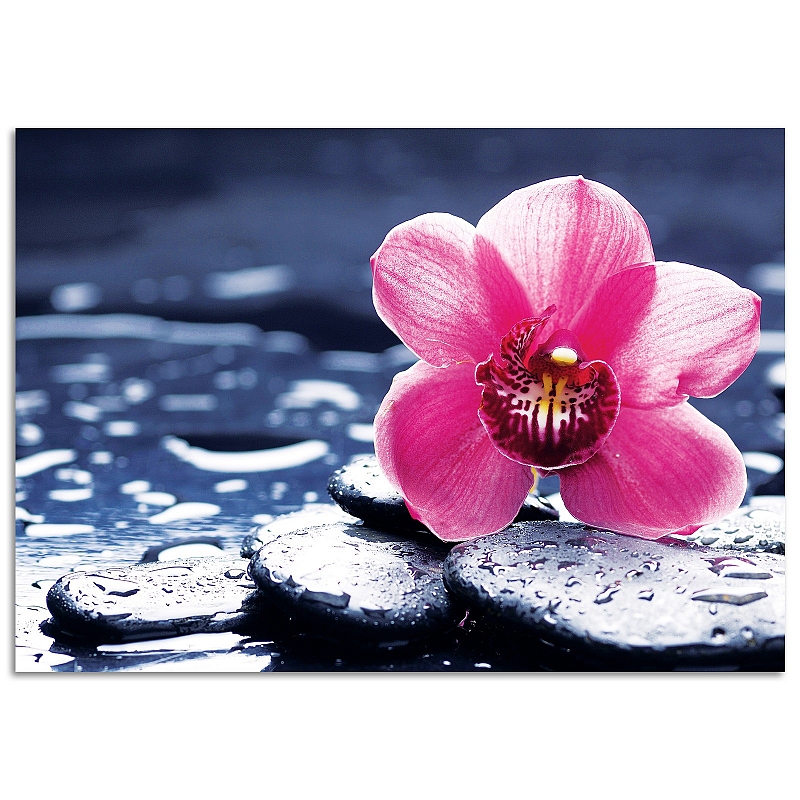 Постер Orchidea Rosa (большой) - # 1 Постер Orchidea Rosa (большой) #1