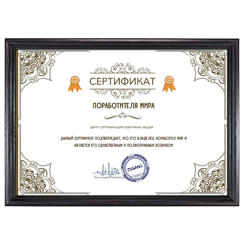 Сертификат поработителя мира #2