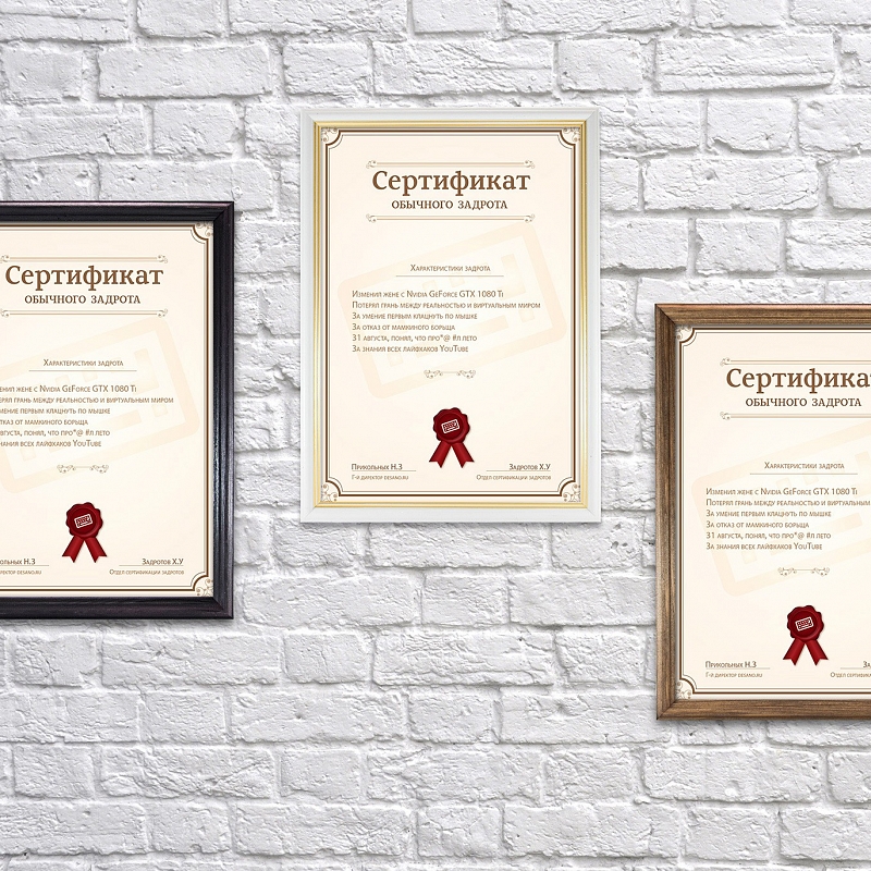 Сертификат обычного задрота - # 4 Сертификат обычного задрота #4