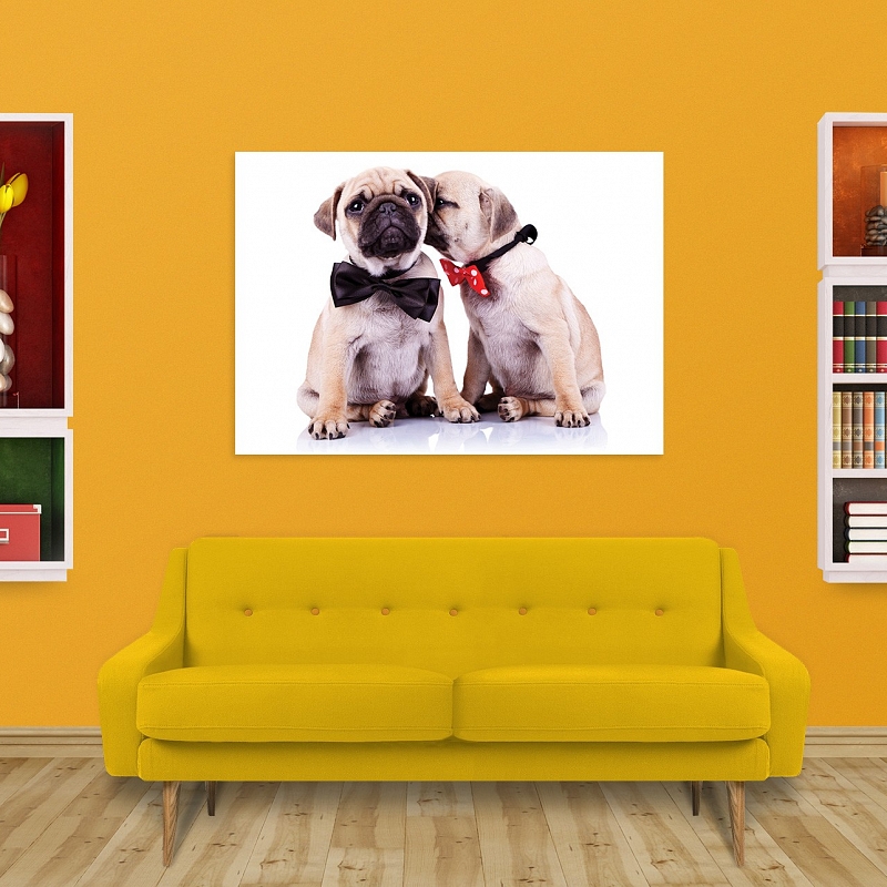 Постер Мопсики - # 2 Постер Мопсики #2