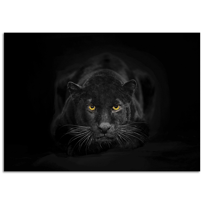 Постер «Пантера» - # 1 Постер «Пантера» #1