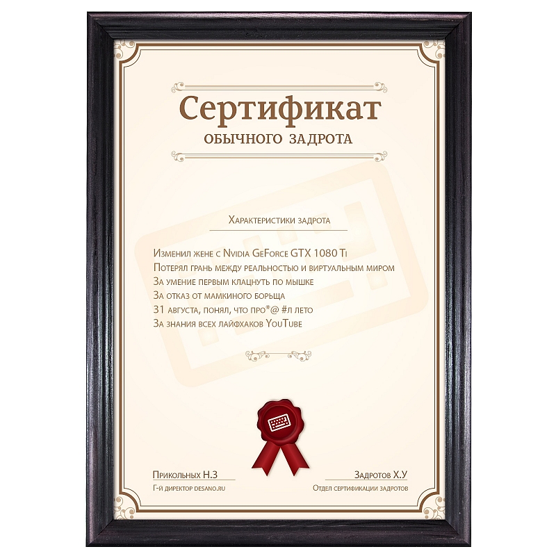Сертификат обычного задрота #1