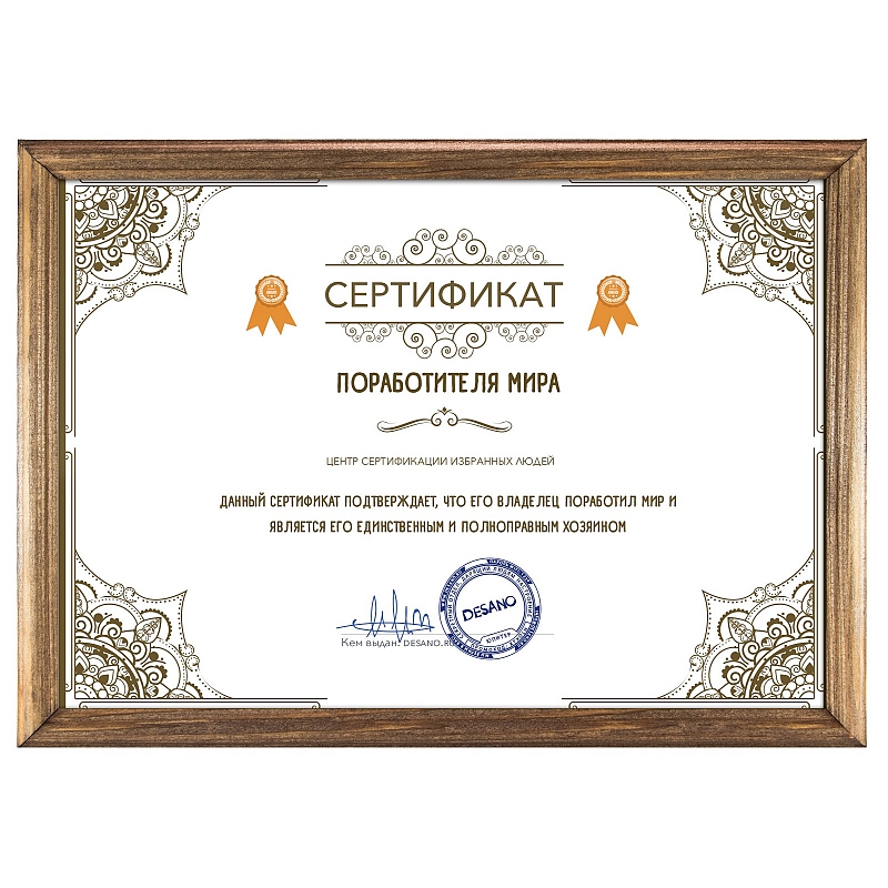 Сертификат поработителя мира #1