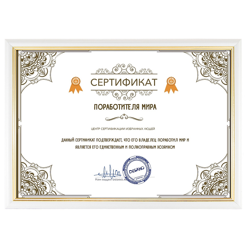 Сертификат поработителя мира #3