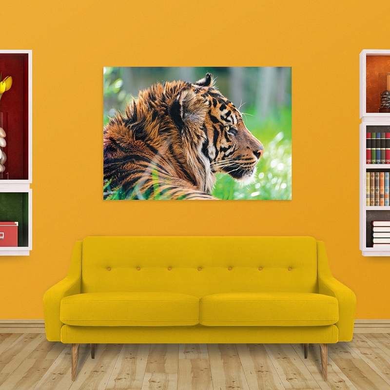 Постер Тигр (большой) - # 2 Постер Тигр (большой) #2