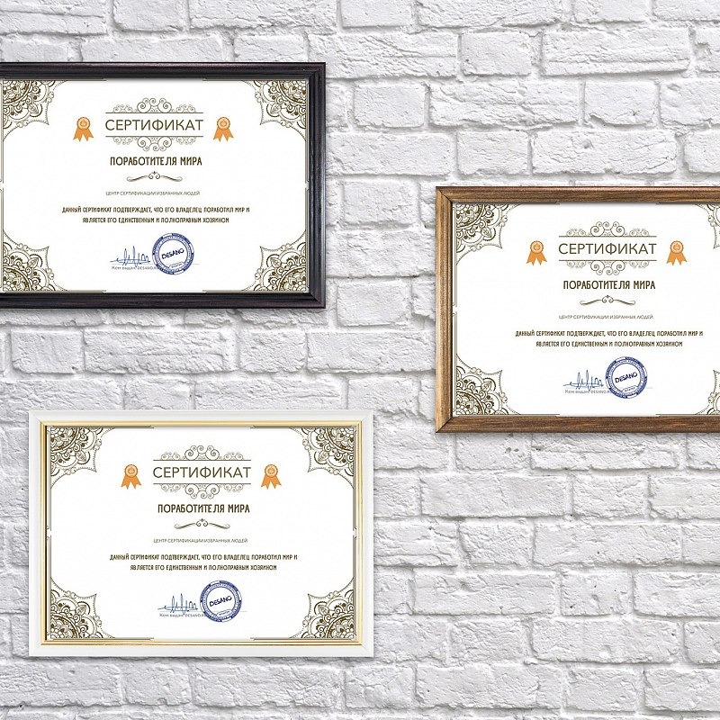 Сертификат поработителя мира - # 4 Сертификат поработителя мира #4