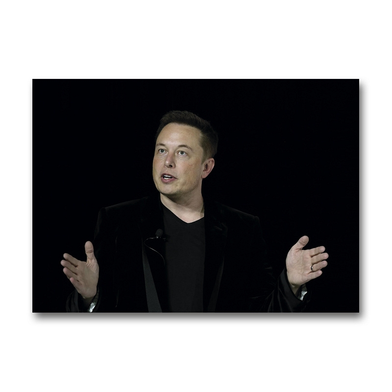 Постер Elon Musk #1