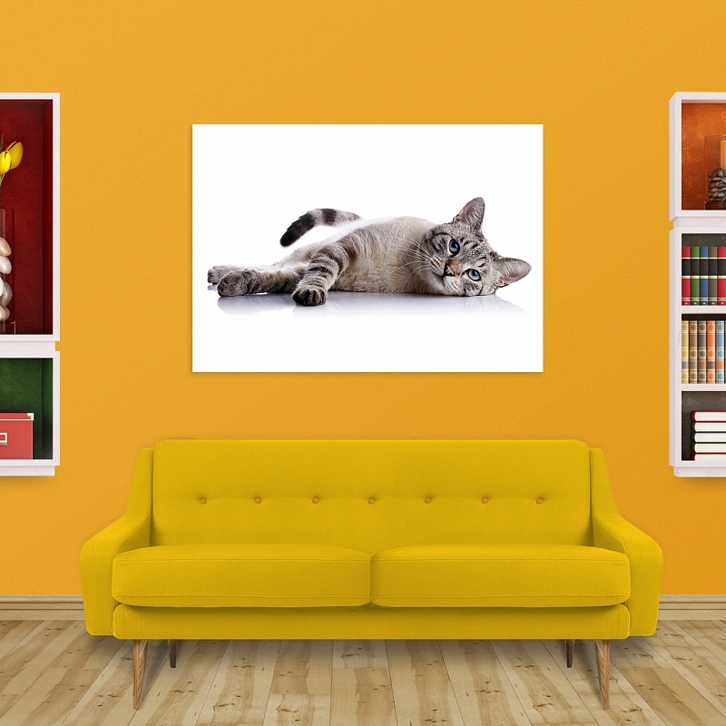 Постер Котэ (большой) - # 2 Постер Котэ (большой) #2