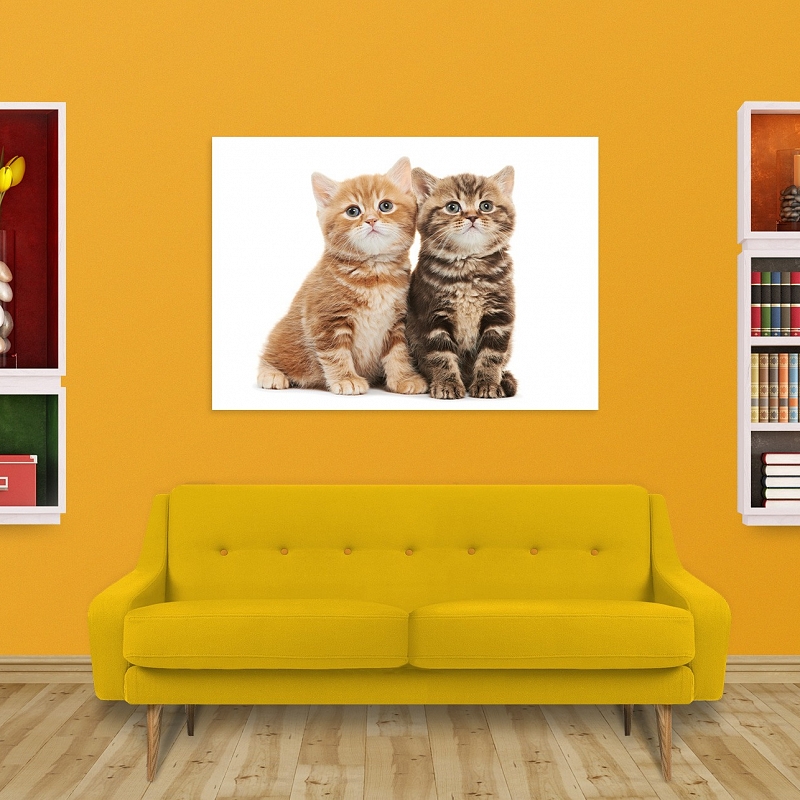 Постер Котята - # 2 Постер Котята #2