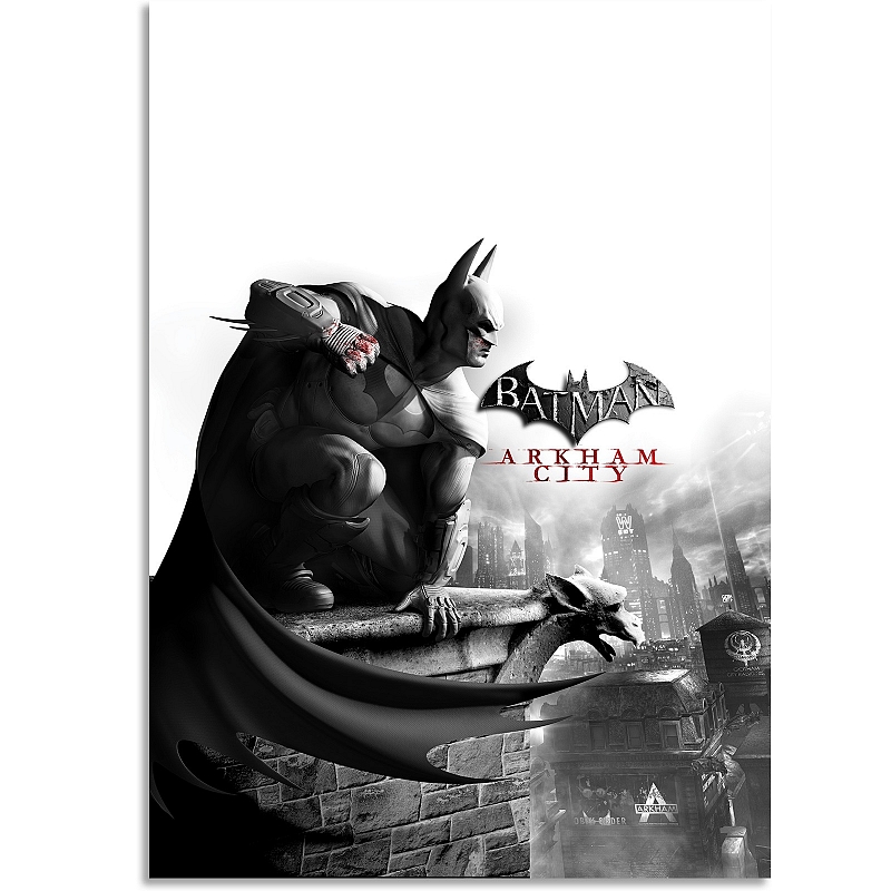 Постер Batman Arkham City (большой) #1