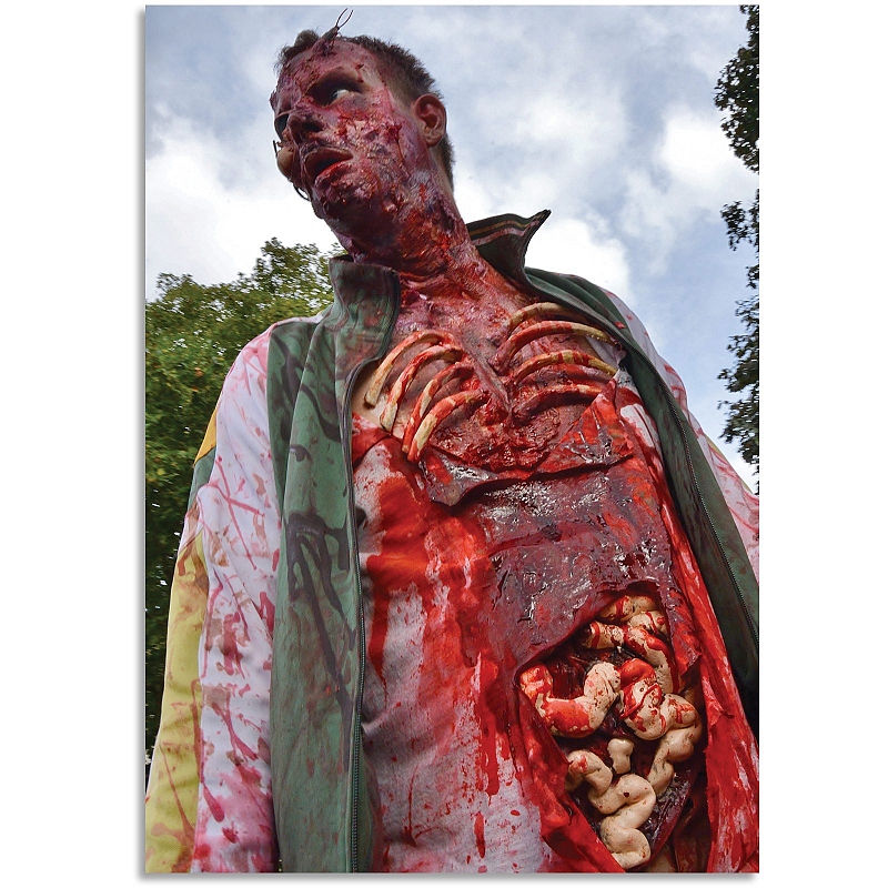 Постер Зомби - # 1 Постер Зомби #1