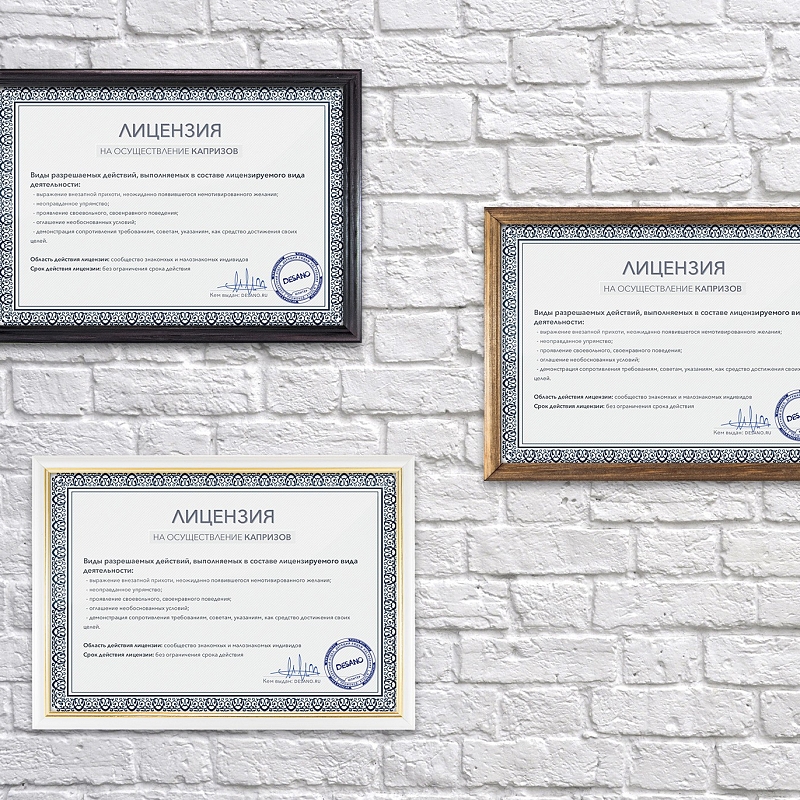 Лицензия на осуществление капризов - # 4 Лицензия на осуществление капризов #4