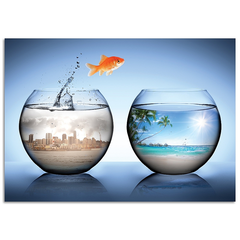 Постер «Свобода выбора» - # 1 Постер «Свобода выбора» #1