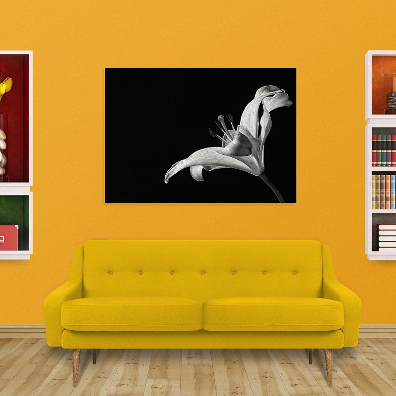 Постер Лилия - # 2 Постер Лилия #2