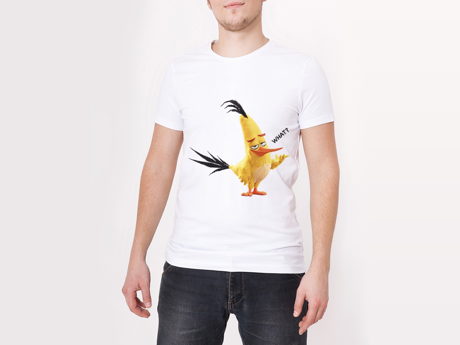 Birds одежда. Марка одежды с птицей. Футболка с желтой птицей. Фирма одежды птичка желтая. Бренд одежды с желтой птичкой.
